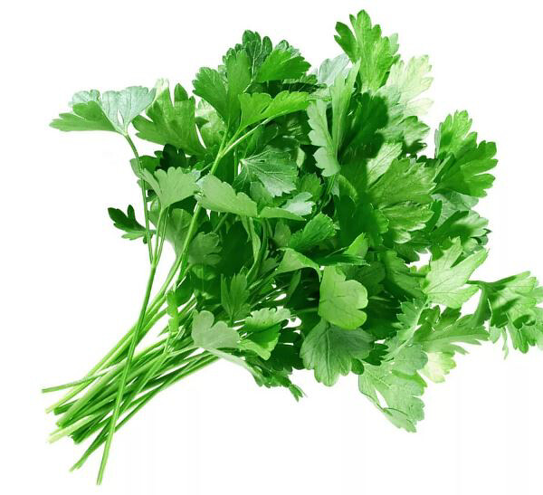 Петрушка 100 г