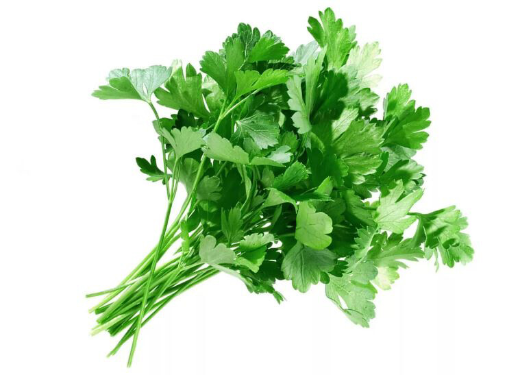 

Петрушка 100 г