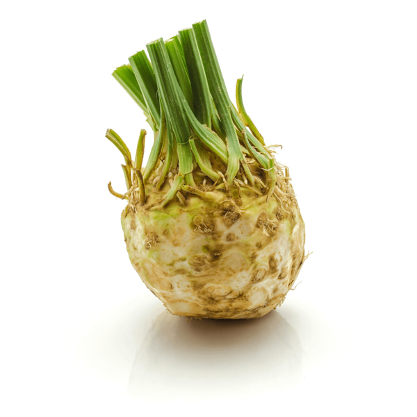 Сельдерей корневой