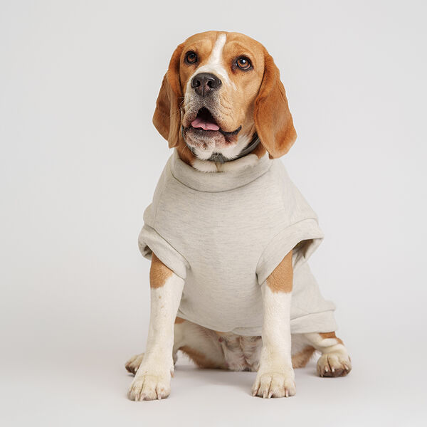 Толстовка с медведем для собак Petmax 4XL серая