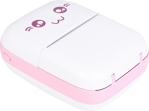 

Термопринтер беспроводной Lentel в ассортименте 1 шт