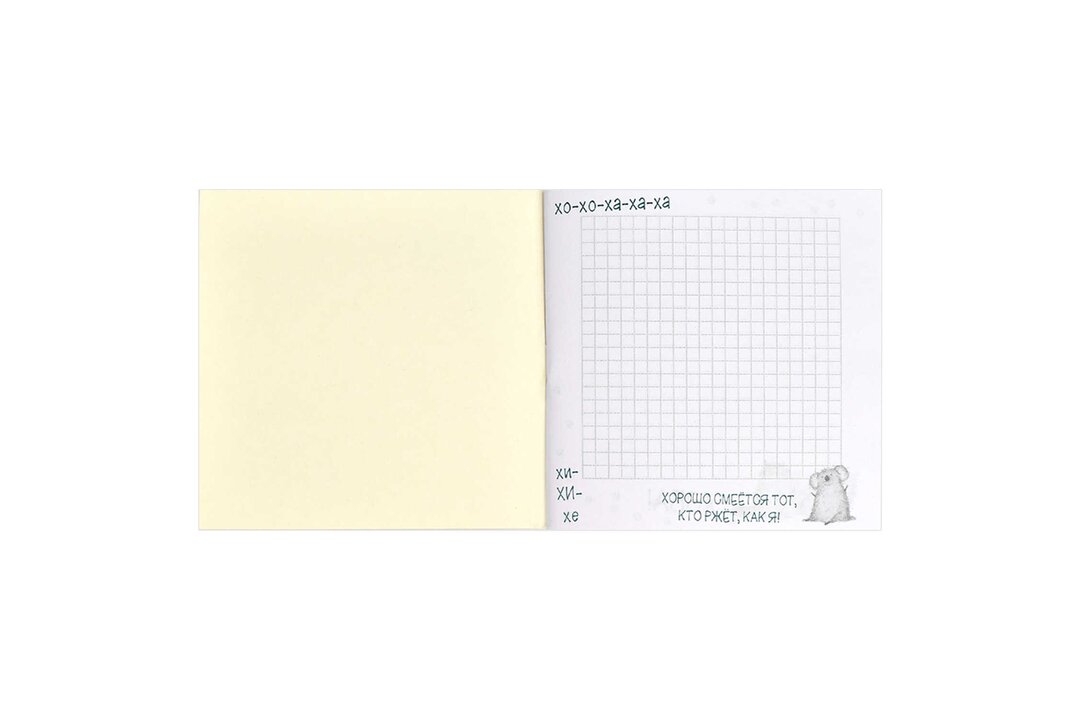 

Блокнот Феникс+ Капибара 13x13 см 32 листа