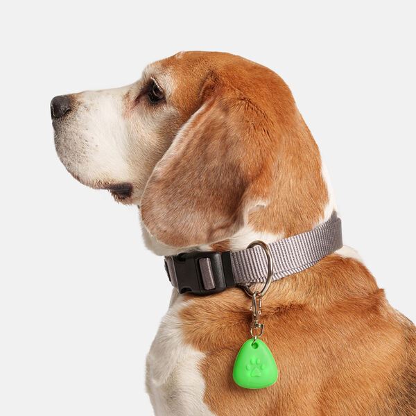 Маячок Rungo светящийся силикон для кошек и собак