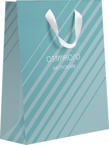 

Пакет подарочный Paketiko декоративный, 22.7х18х10 см, дизайн в ассортименте