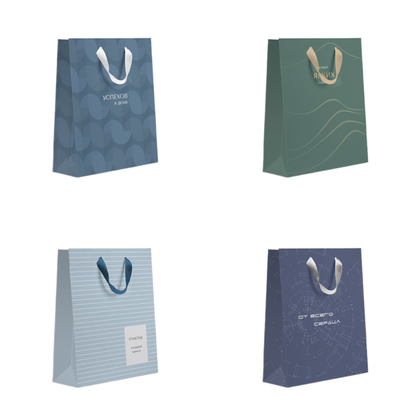 Пакет Paketiko XL Гравитация 41х31х10 см в ассортименте, 1 шт