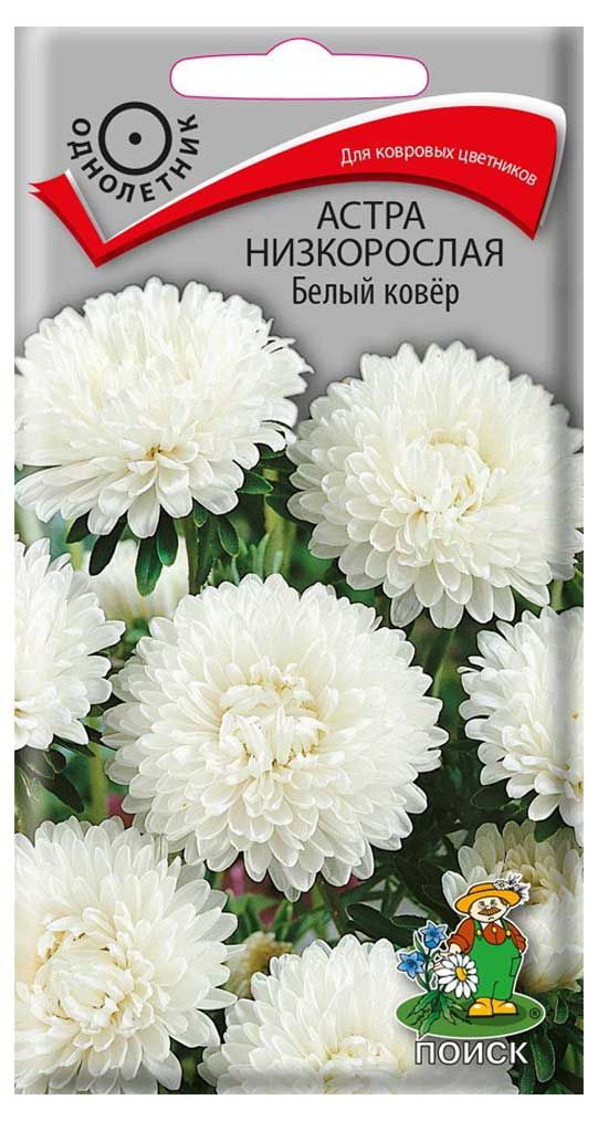 

Семена ПОИСК Астра низкорослая Белый ковер, 0,2г
