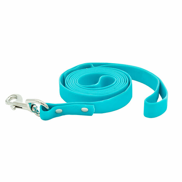 Поводок из биотана для собак, 20 мм, 2 м, аквамарин