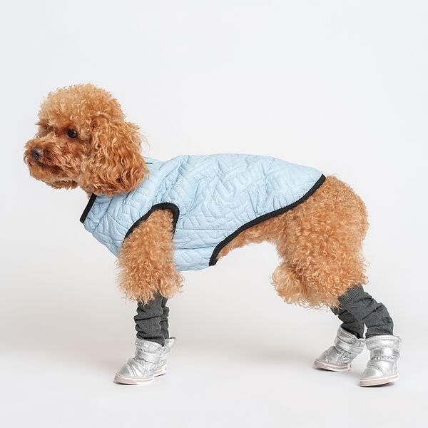 Куртка для собак Rurri на замке голубая XL