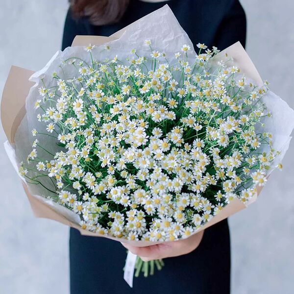 Букеты из 25 матрикарий