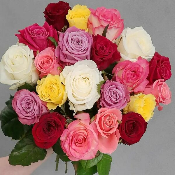 21 роза микс