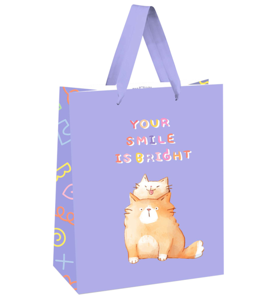 

Пакет подарочный Meshu You are special 26х32х12 см в ассортименте