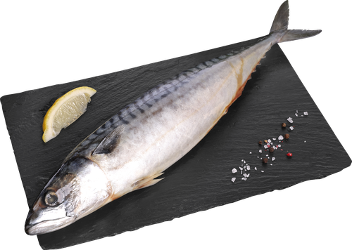 

Скумбрия Тихоокеанская ЛЕНТА FRESH непотрошеная с головой (из замороженного сырья), весовая