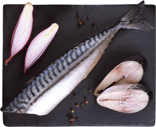 

Скумбрия пряного посола Лента Fresh потрошеная без головы в солевой заливке весовая