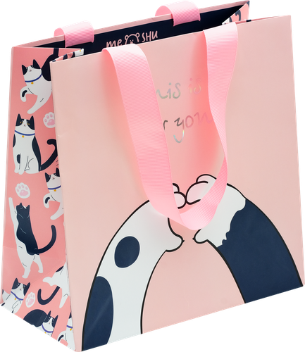 

Пакет подарочный Meshu This is for you отделка фольгой матовая ламинация 20x20x10 см