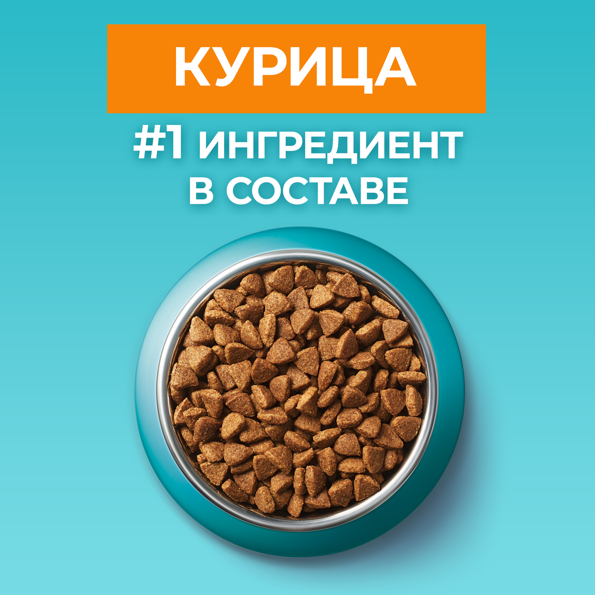 

Сухой корм Purina One для взрослых кошек для красивой шерсти, здоровой кожи и контроля образования волосяных комков, с высоким содержанием курицы и цельными злаками Пакет 750 г