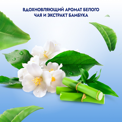 

Гель для душа женский Фа Натуральная Свежесть Белый Чай и Бамбук 750 мл