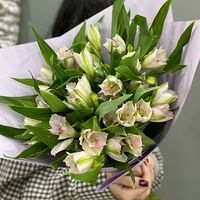 Изображение 3