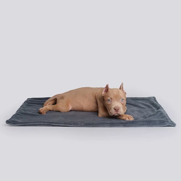 Плед для домашних животных Rurri 70х50 см