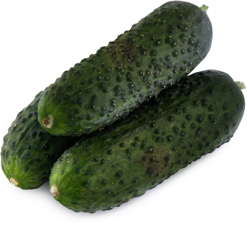 

Огурцы короткоплодные грунтовые вес