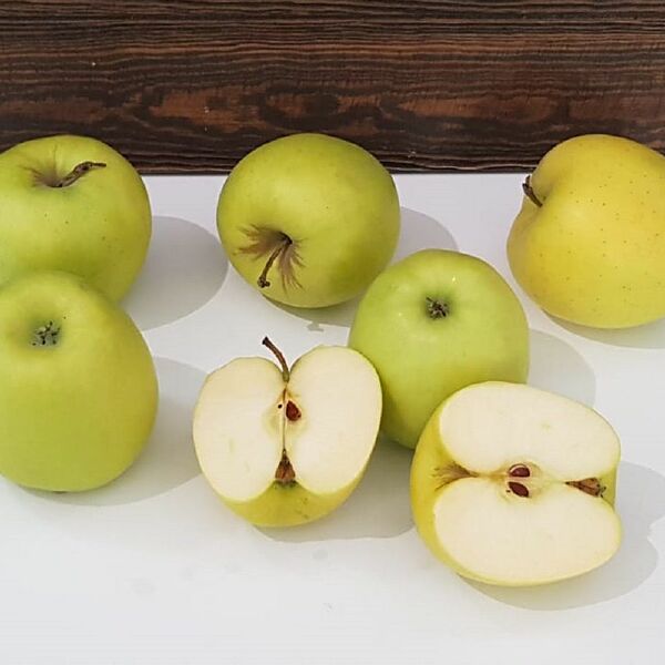 Яблоки Голден (Danilovskymarket)