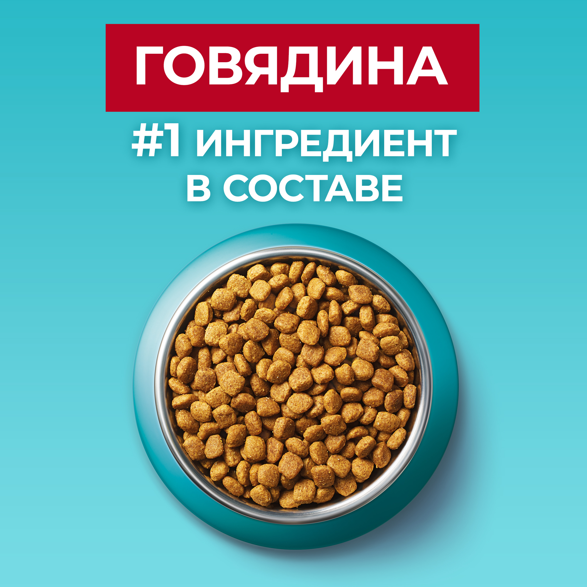 

Сухой корм Purina One для взрослых кошек, с высоким содержанием говядины и цельными злаками Пакет 750 г