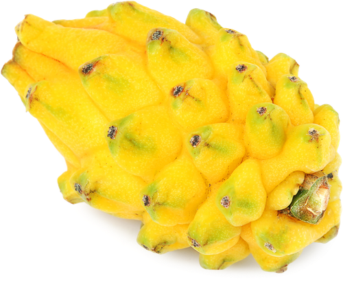 

Питахайя желтая вес