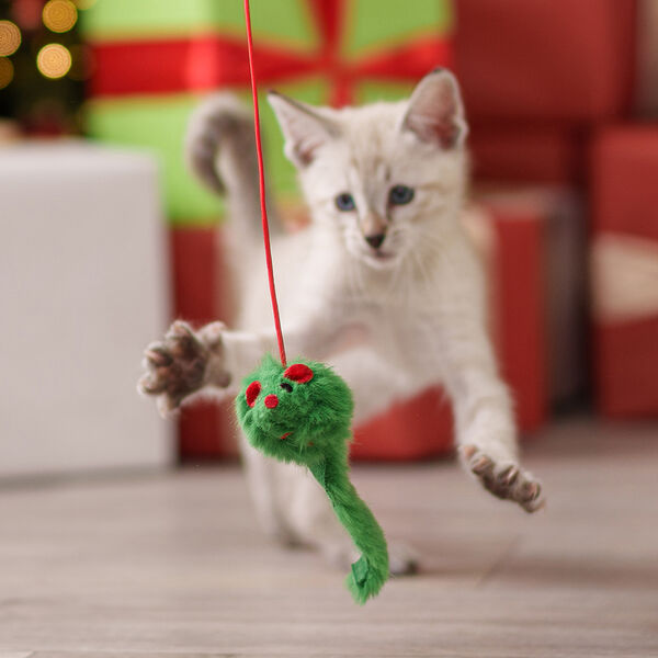 Игрушка для кошек Дразнилка с мышкой, размер палки 41 см, размер игрушки 14х2,5х2,5 см