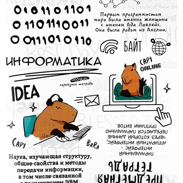 Тетрадь предметная Prof-Press Капибара Информатика в клетку А5, 48 л, в ассортименте