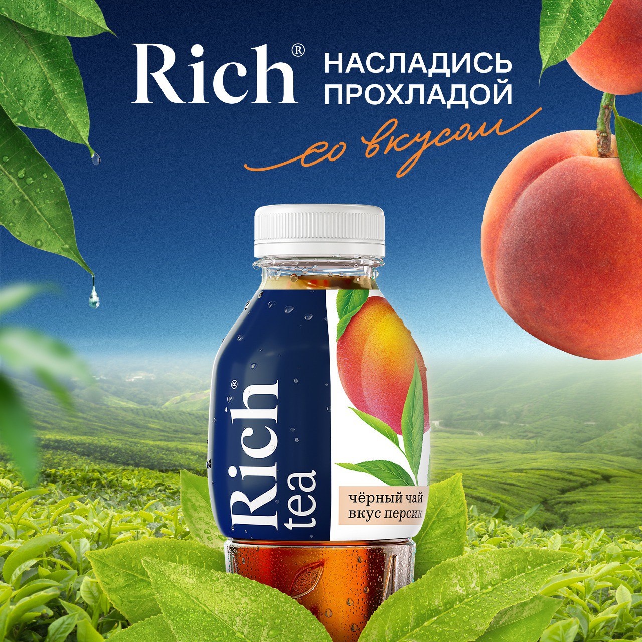 

Холодный черный чай Riсh Персик 1 л