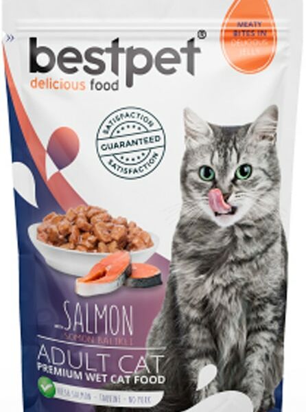Влажный корм для кошек Bestpet с лососем 85г*24шт