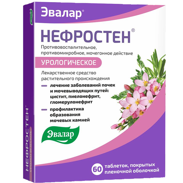 Нефростен таблетки 60 шт