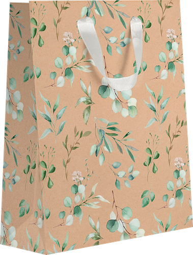 Пакет подарочный Пакетико Эвкалипт Крафт 23х18х10 см в ассортименте