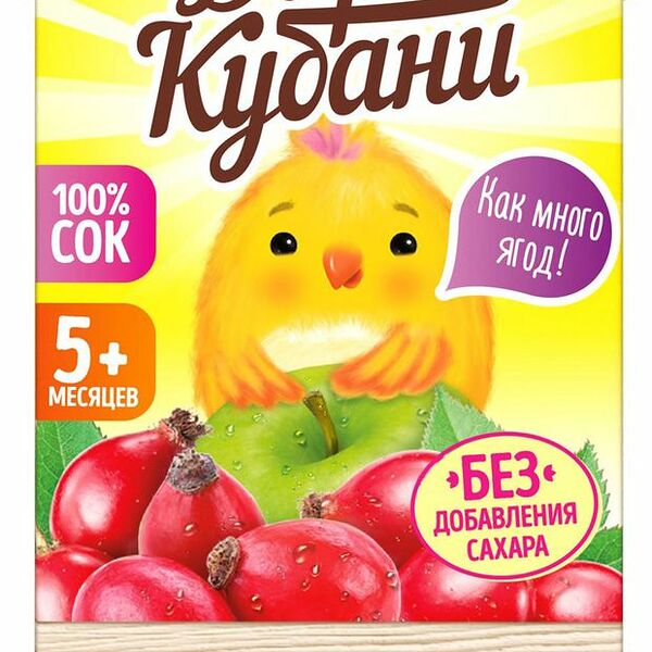 Сок Дары Кубани Яблоко-шиповник с 5 месяцев 125 мл