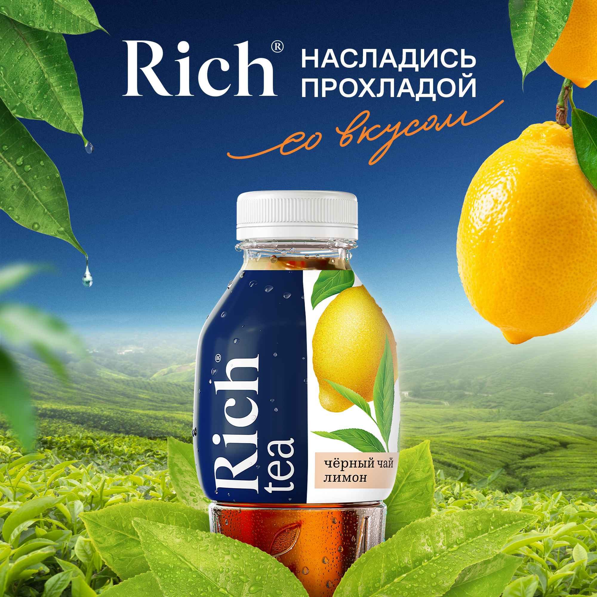

Холодный черный чай Riсh Лимон 500 мл
