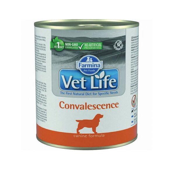 Корм для собак Farmina Vet Life Convalescence в период выздоровления паштет куриный 300 г