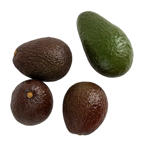 Авокадо Хасс Колумбия шт