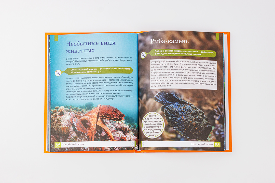 

Энциклопедия. Океаны. Ульева Елена Александровна