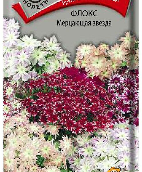 Семена Поиск Флокс Мерцающая звезда В19