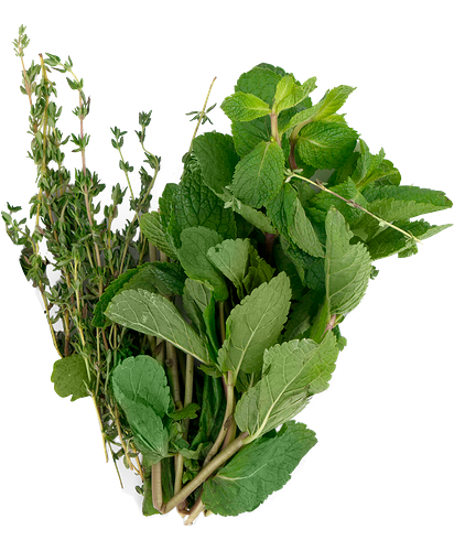 Набор свежих трав Лето Чайный 50 г