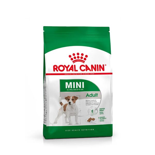 Корм сухой Royal Canin Mini Adult для взрослых собак мелких размеров от 10 месяцев 800 г
