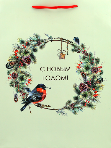 

Пакет подарочный дизайн в ассортименте