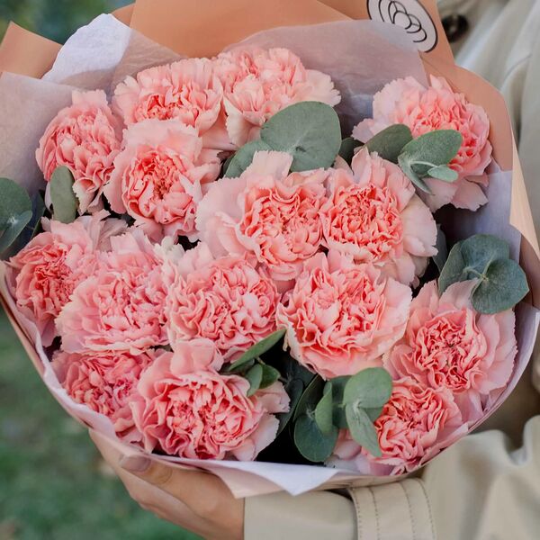 Букет из 15 розовых гвоздик с эвкалиптом