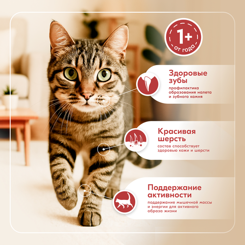 

Корм влажный для кошек, Lamour с рыбой в соусе, 75 г