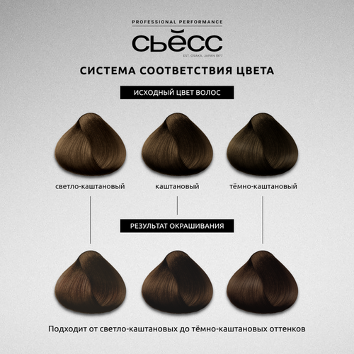 

Краска для волос Сьёсс Permanent Coloration 4-8 Каштановый шоколадный 115 мл