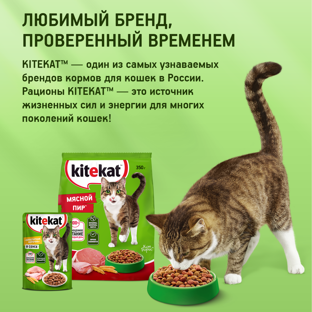 

Корм сухой для кошек Kitekat Телятинка Аппетитная 1.3 кг