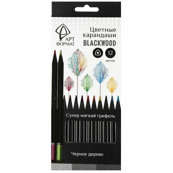 Карандаши АРТформат Blackwood цветные трехгранный корпус 12 цветов