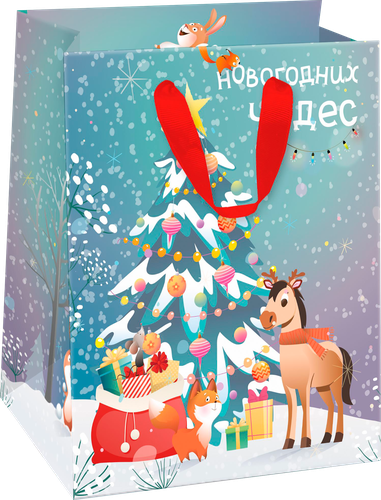 

Пакет подарочный City Home Trade И-го-год 23 х 18 х 10 см дизайн в ассортименте