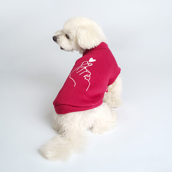 Толстовка Petmax бургунди S