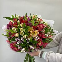 Изображение 6