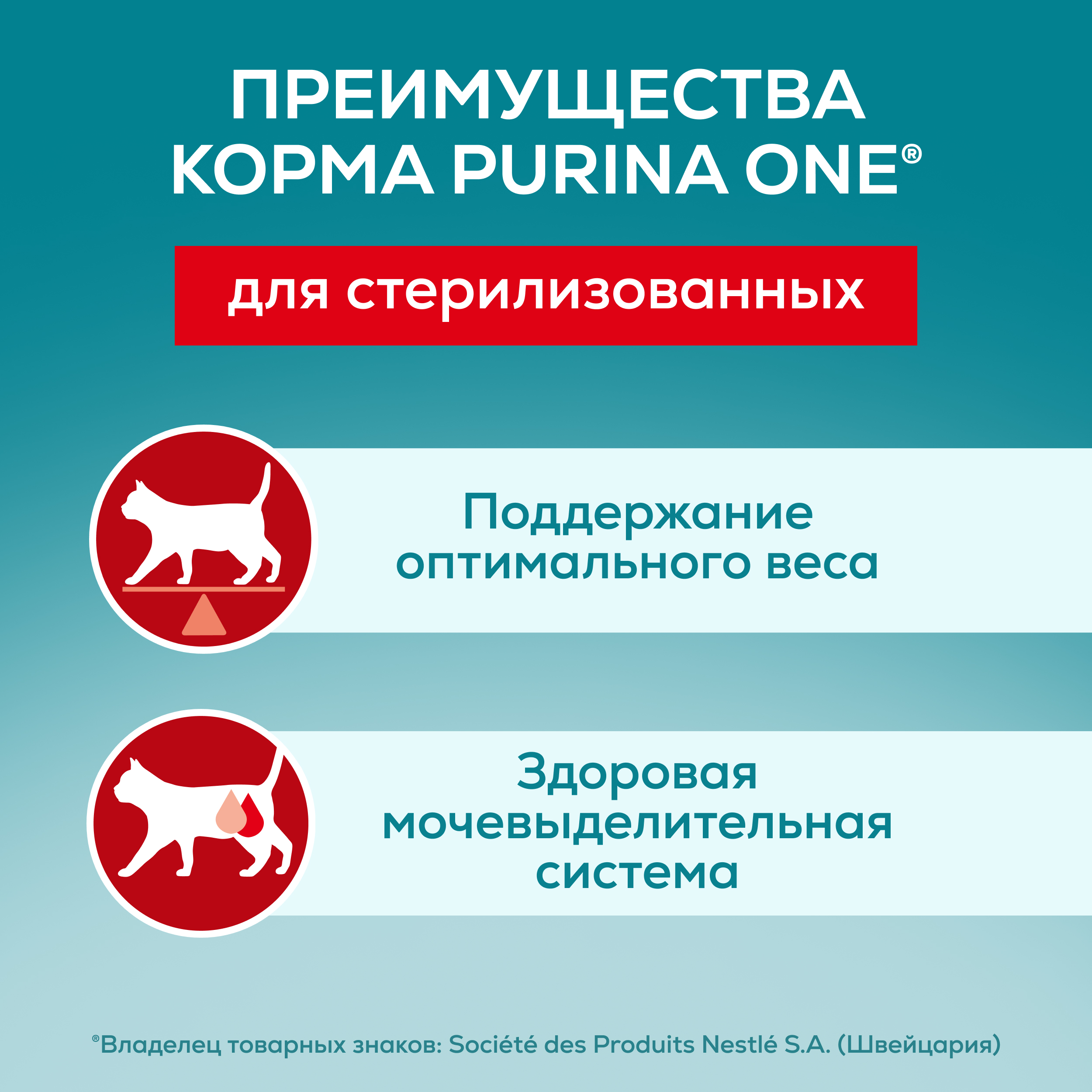 

Влажный корм Purina One для стерилизованных кошек с курицей и зеленой фасолью Пауч 75 г